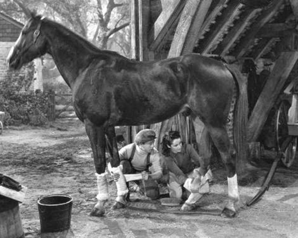 National Velvet, 1944 art print by Vintage Hollywood Archive for $57.95 CAD