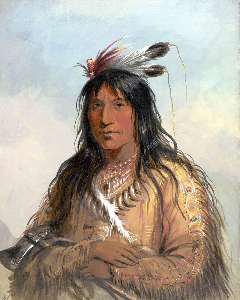 Head of Matau Tathonca, Bull Bear, an Ogillalah art print by Alfred Jacob Miller for $57.95 CAD