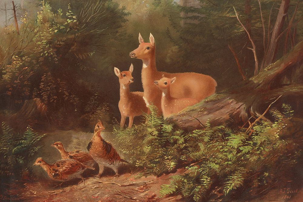 Alarm art print by Arthur Fitzwilliam Tait for $57.95 CAD