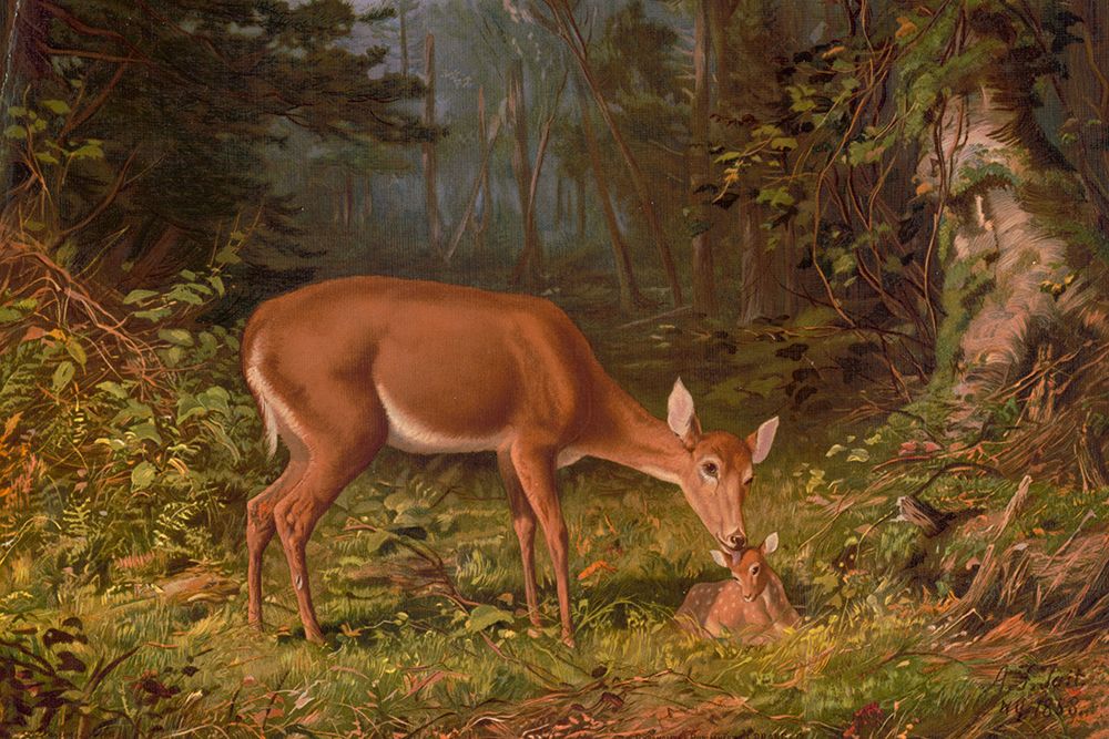 Maternal Love art print by Arthur Fitzwilliam Tait for $57.95 CAD
