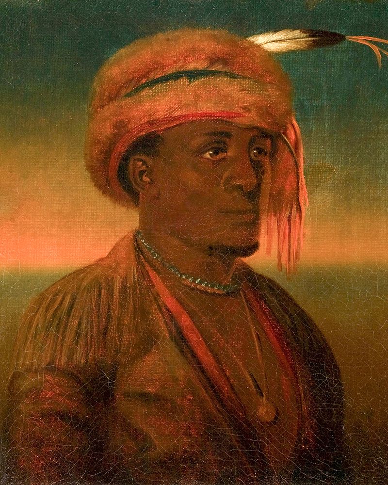 Portrait of a Native American art print by Karl Ferdinand Wimar for $57.95 CAD