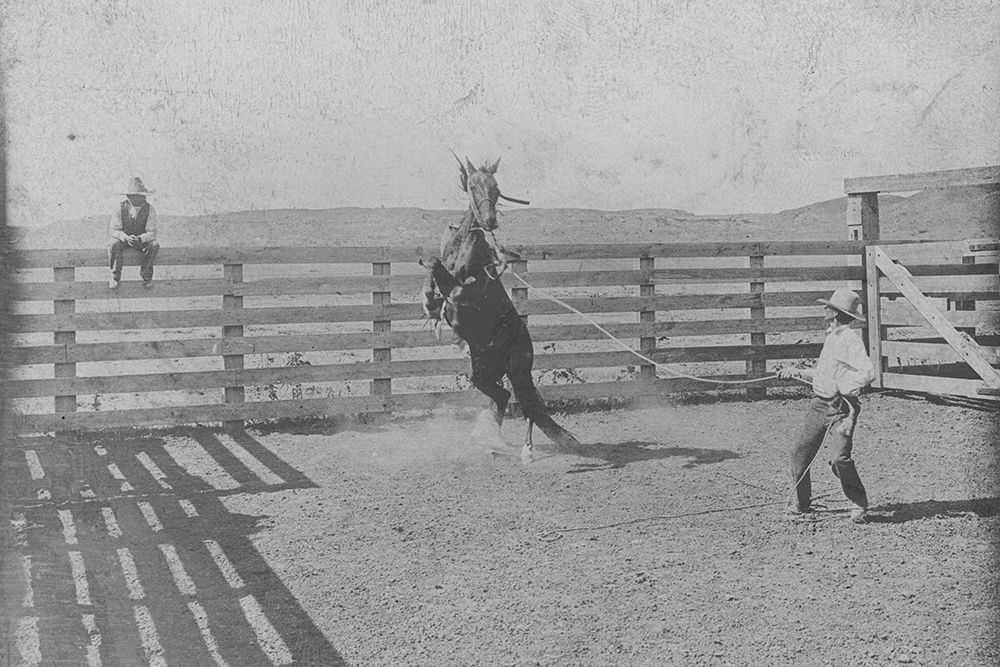 The Bronc Gets Ugly art print by Vintage Texas for $57.95 CAD