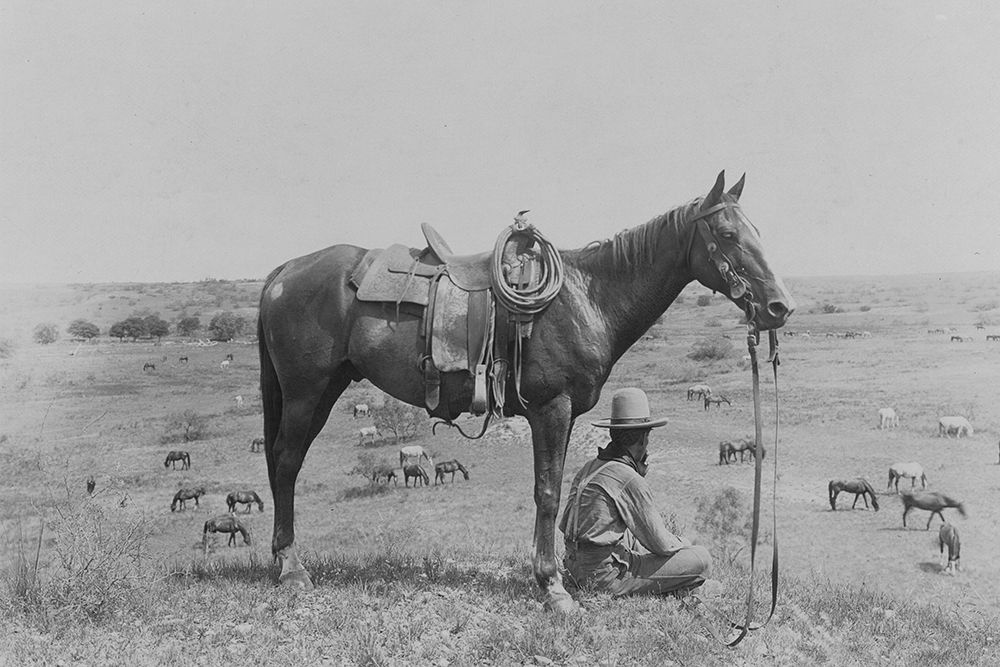 The Horse Wrangler art print by Vintage Texas for $57.95 CAD