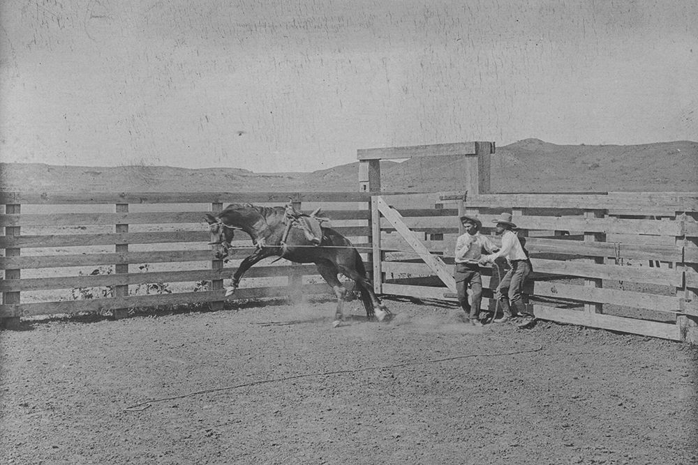 In the Bronc Pens art print by Vintage Texas for $57.95 CAD