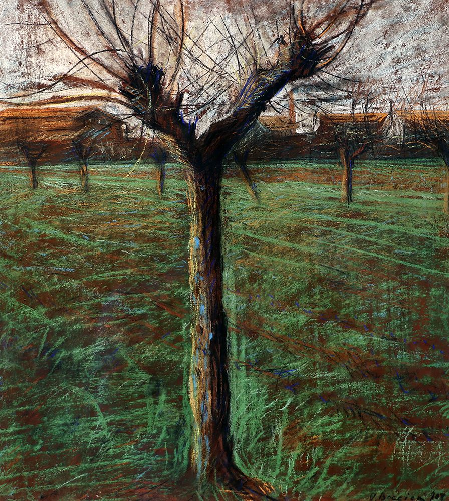 The Mulberry Tree 1908 art print by Umberto Boccioni for $57.95 CAD