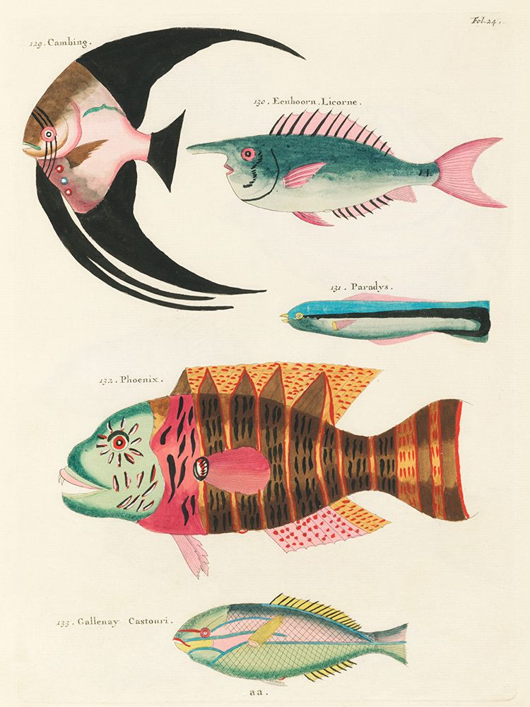 Illustrations of fishes found in Moluccas Indonesia and the East Indies 10 art print by Louis Renard for $57.95 CAD