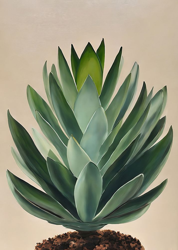 Aloe Plant art print by Alpenglow Workshop for $57.95 CAD