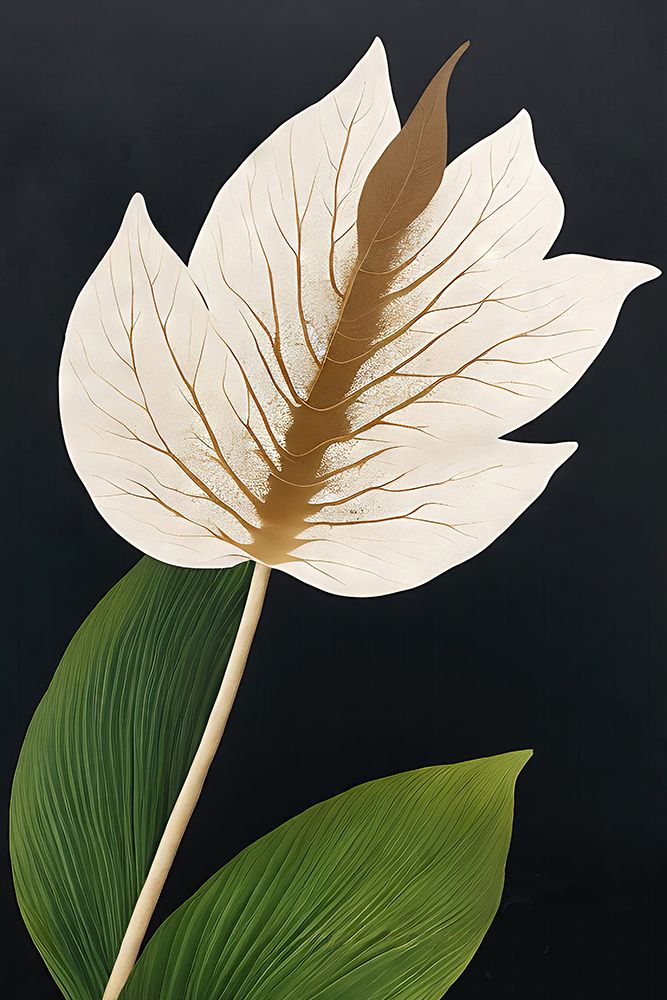 Peace Lily art print by Alpenglow Workshop for $57.95 CAD