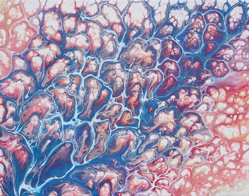 Coral Sea art print by Alpenglow Workshop for $57.95 CAD