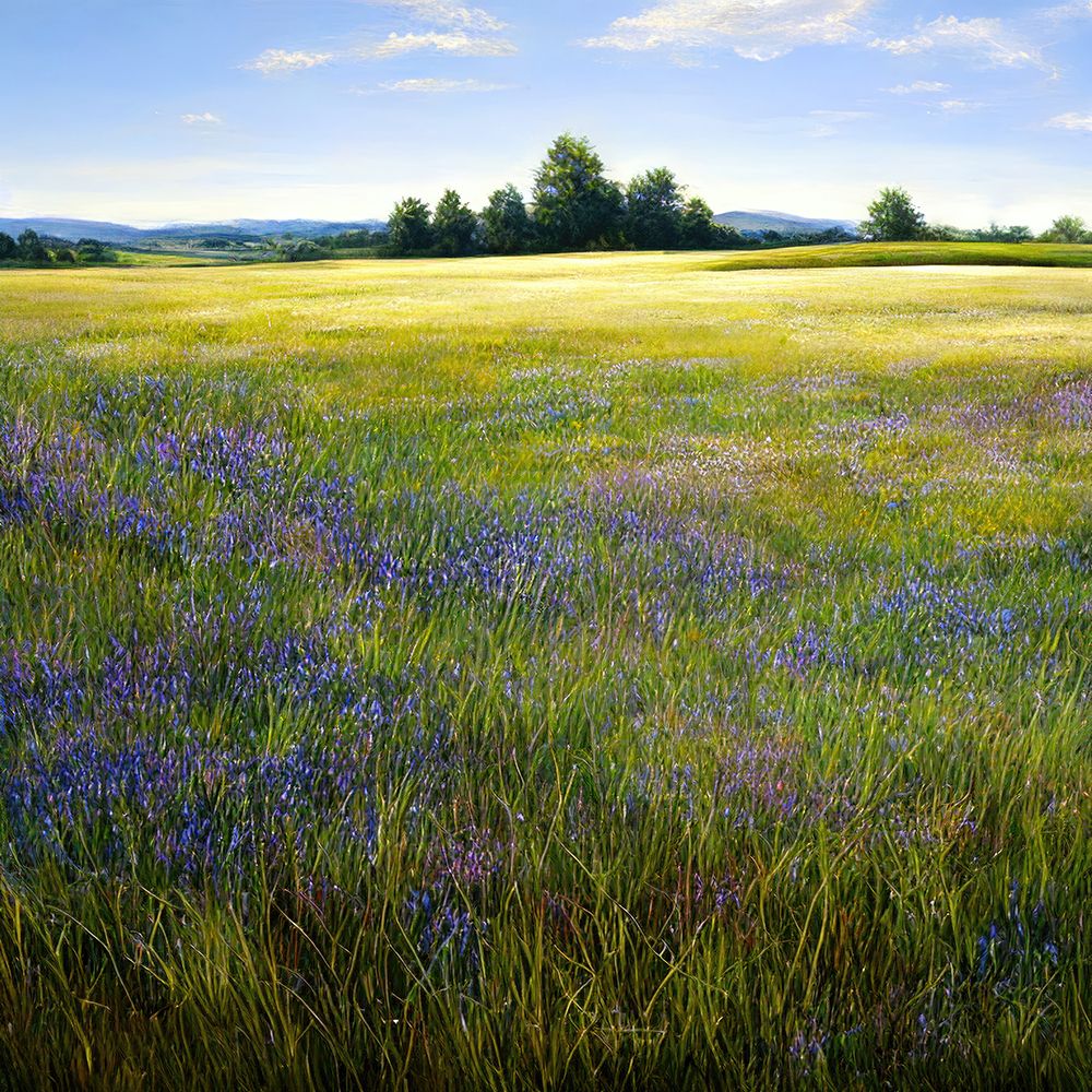 Wild Alfalfa Field art print by Alpenglow Workshop for $57.95 CAD