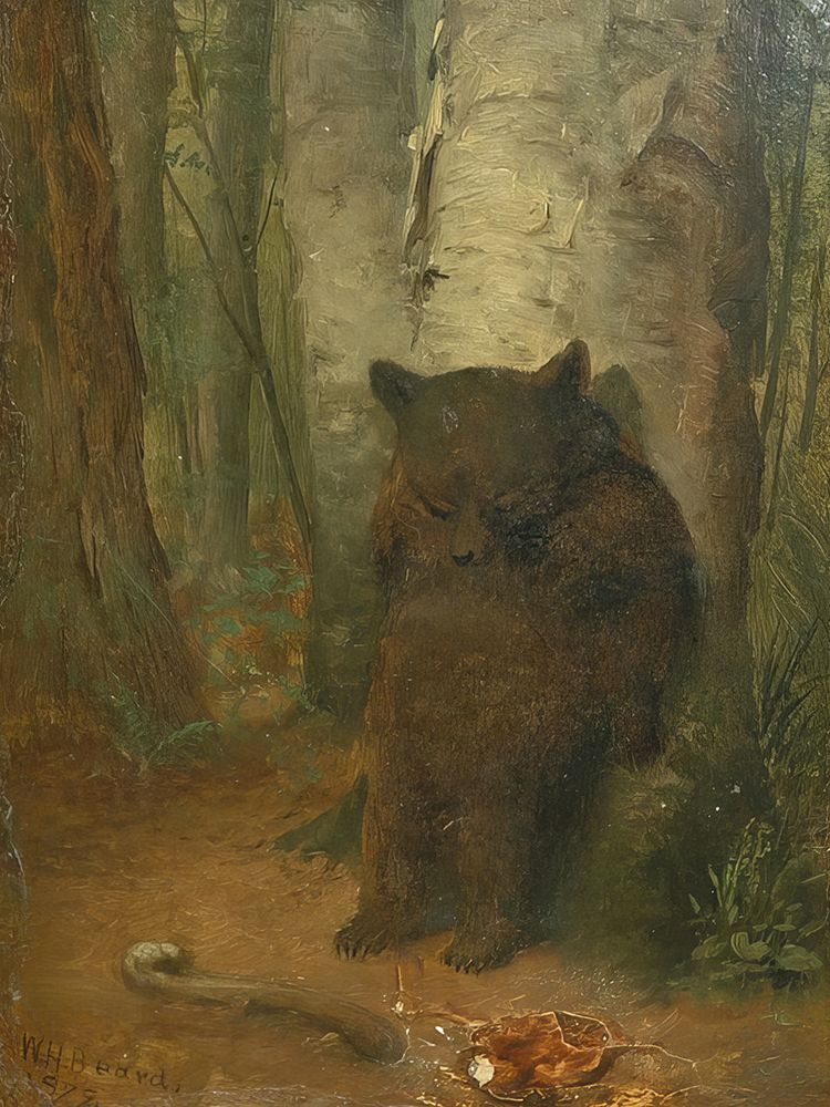 The Bashful Bear art print by William Holbrook Beard for $57.95 CAD
