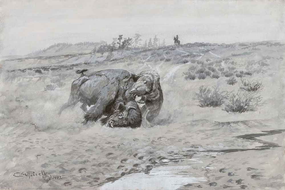 Death Battle of Buffalo and Grizzly Bear 1902 art print by Charles Marion Russell for $57.95 CAD