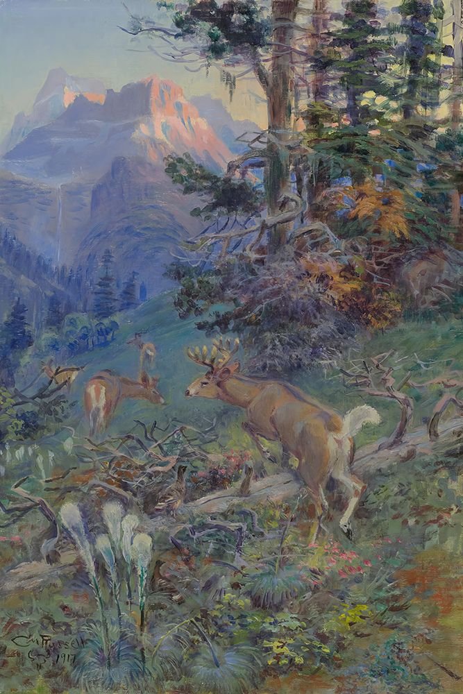 Deer in Forest, White Tail Deer art print by Charles Marion Russell for $57.95 CAD