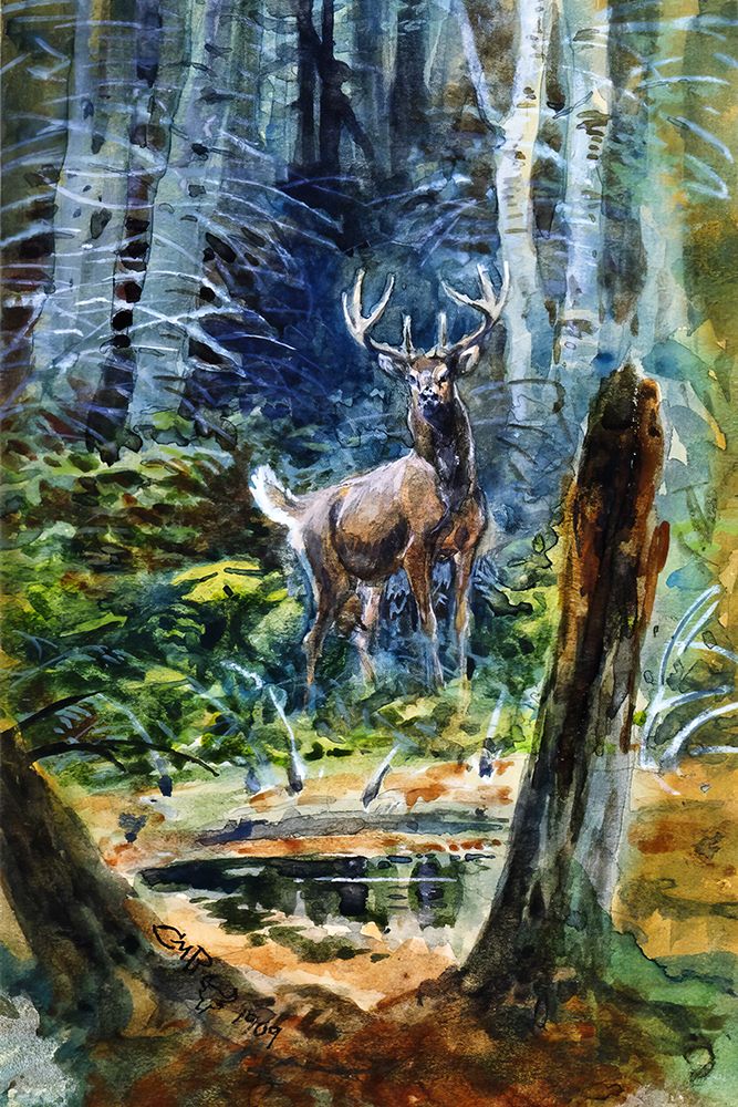 Deer in the Dell 1909 art print by Charles Marion Russell for $57.95 CAD