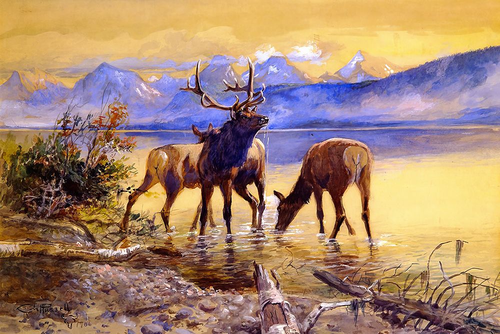 Elk in Lake McDonald 1906 art print by Charles Marion Russell for $57.95 CAD