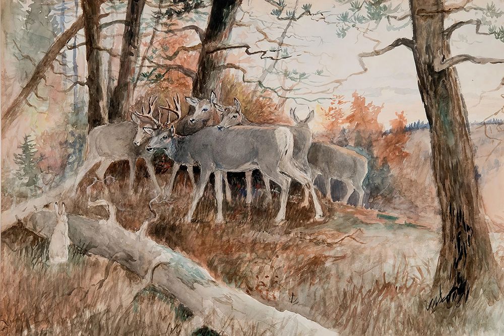 Forest Friends art print by Charles Marion Russell for $57.95 CAD