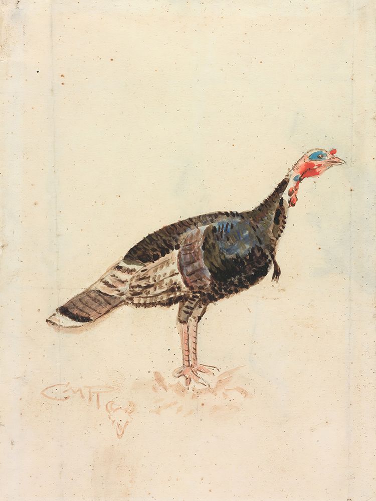 The Turkey 1910 art print by Charles Marion Russell for $57.95 CAD