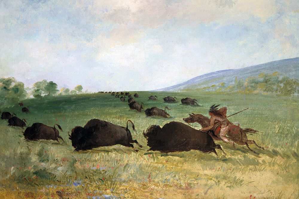 An Osage Indian Lancing a Buffalo art print by George Catlin for $57.95 CAD