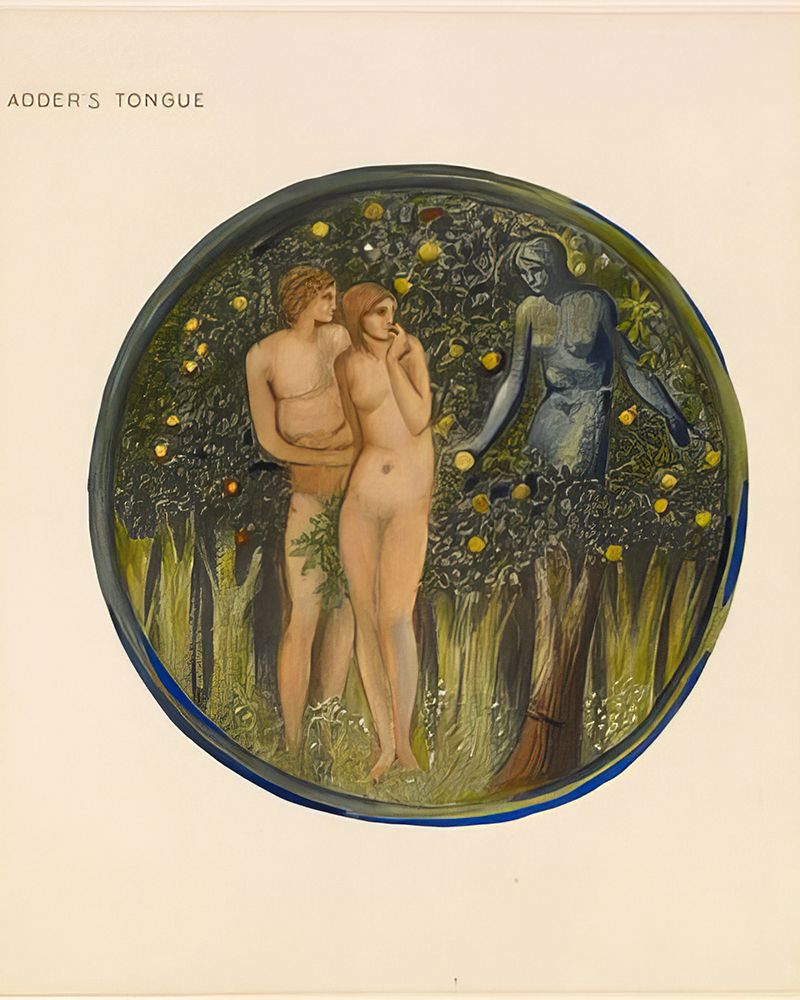 The Flower Book Adders Tongue 1905 art print by Edward Burne-Jones for $57.95 CAD
