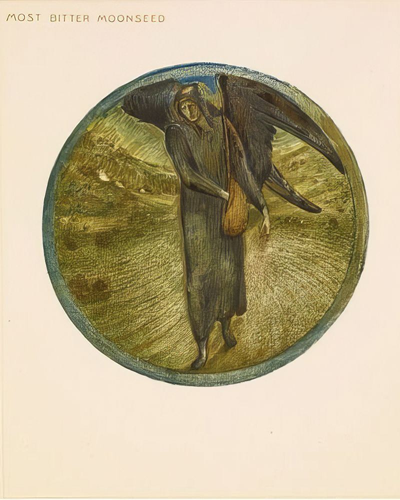 The Flower Book Most Bitter Moonseed 1905 art print by Edward BurneΓÇôJones for $57.95 CAD