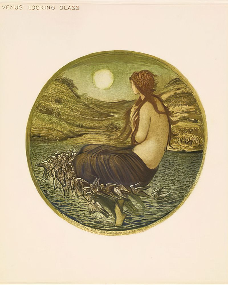 The Flower Book Venus Looking Glass 1905 art print by Edward Burne-Jones for $57.95 CAD