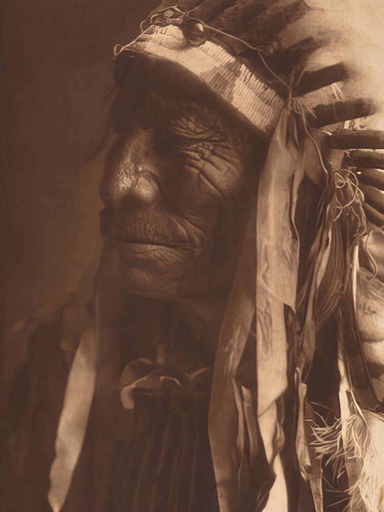 Fast Elk 1907 art print by Edward S. Curtis for $57.95 CAD