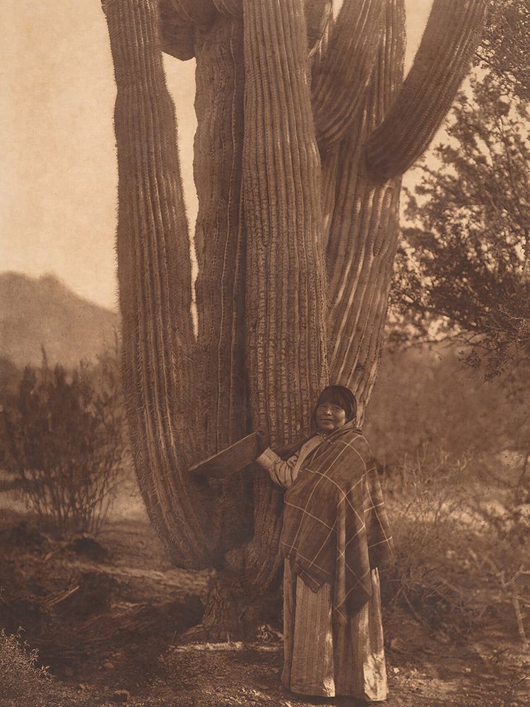 The Pima Woman 1907 art print by Edward S. Curtis for $57.95 CAD
