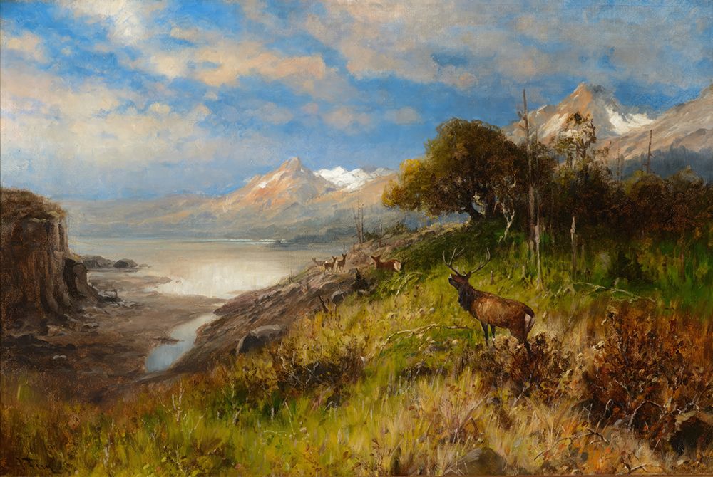 Bull Looking over Cows art print by John Fery for $57.95 CAD
