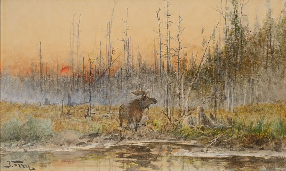 Moose at Sunset Wisconsin art print by John Fery for $57.95 CAD