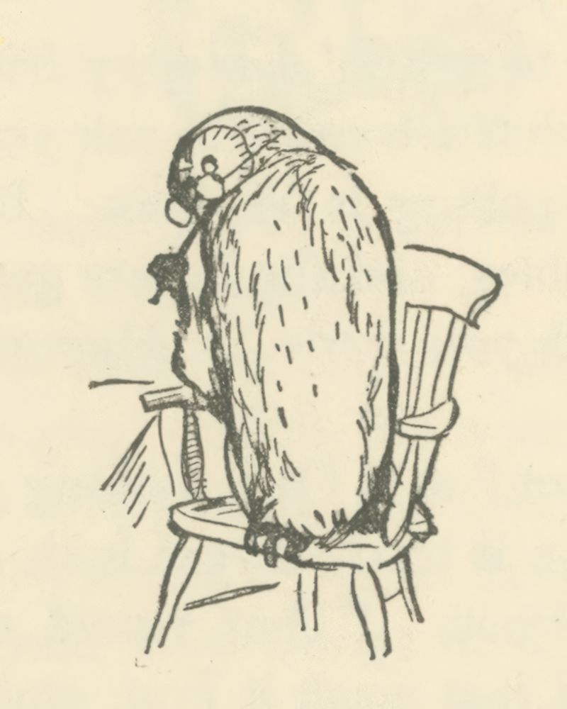 Winnie-the-Pooh 1926 - Happy Birthday Said Owl art print by Ernest H Shepard for $57.95 CAD