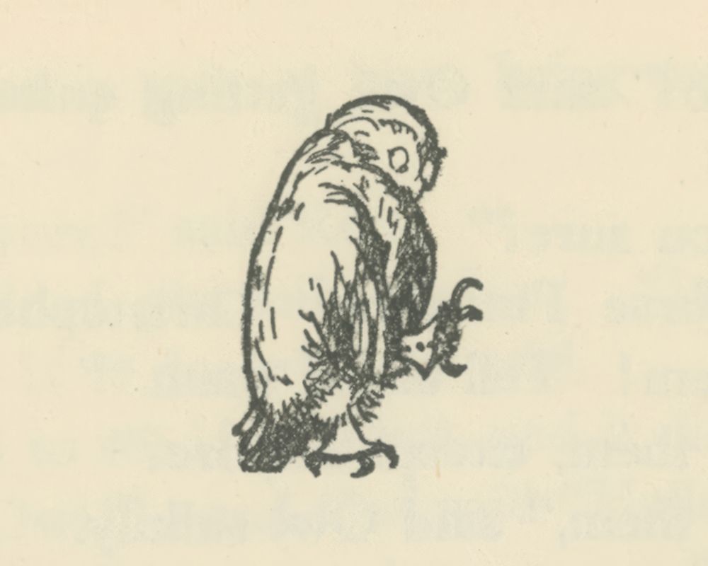 Winnie-the-Pooh 1926 - Owl Got Quite Fussy art print by Ernest H Shepard for $57.95 CAD