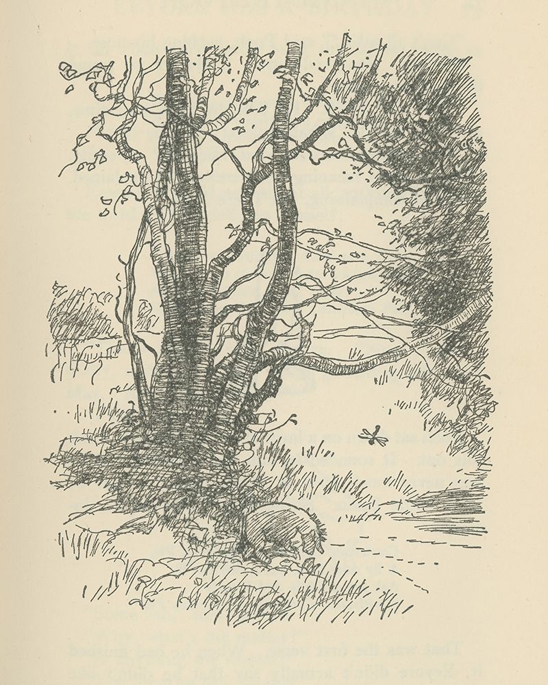 Winnie-the-Pooh 1926 - Pathetic said Eeyore art print by Ernest H Shepard for $57.95 CAD