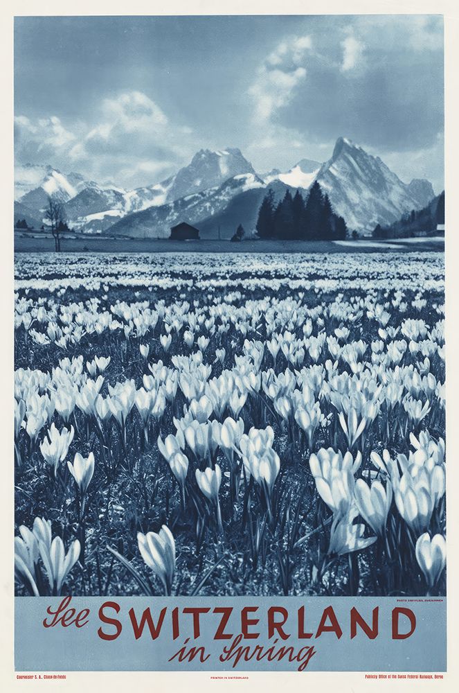Switzerland Vintage Travel Poster art print by Vintage Travel Poster for $57.95 CAD