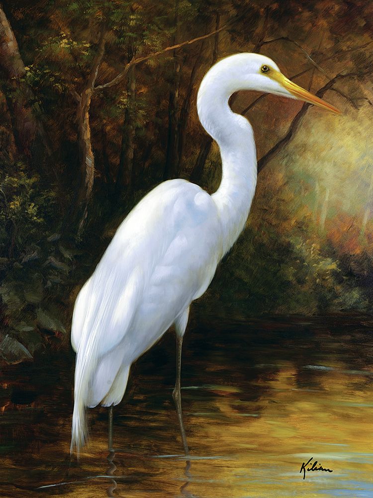 Evening Egret art print by Kilian for $57.95 CAD