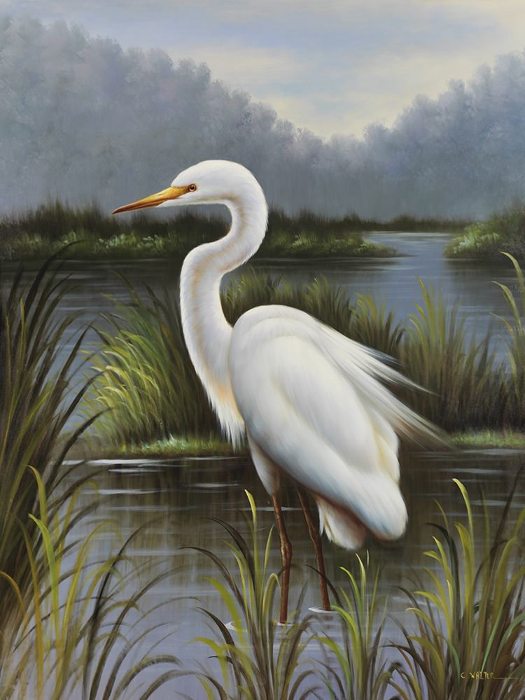 Morning Egret art print by Kilian for $57.95 CAD