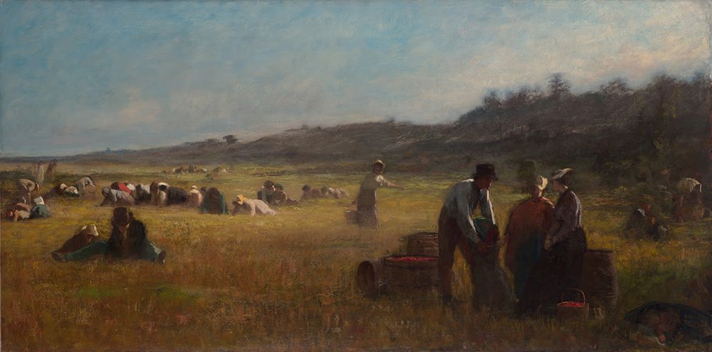 Cranberry Pickers 1878 art print by Eastman Johnson for $57.95 CAD
