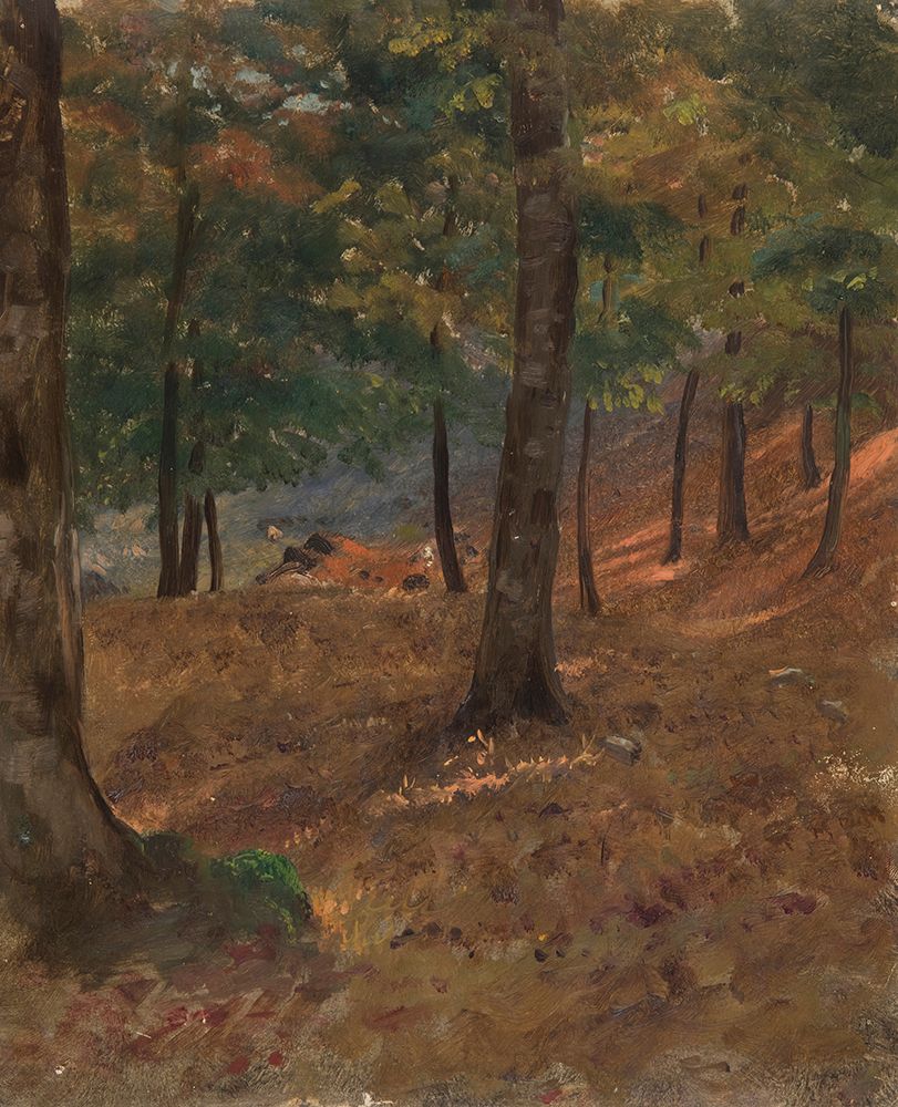 Woodland Scene 1870 art print by Frederic Edwin Church for $57.95 CAD