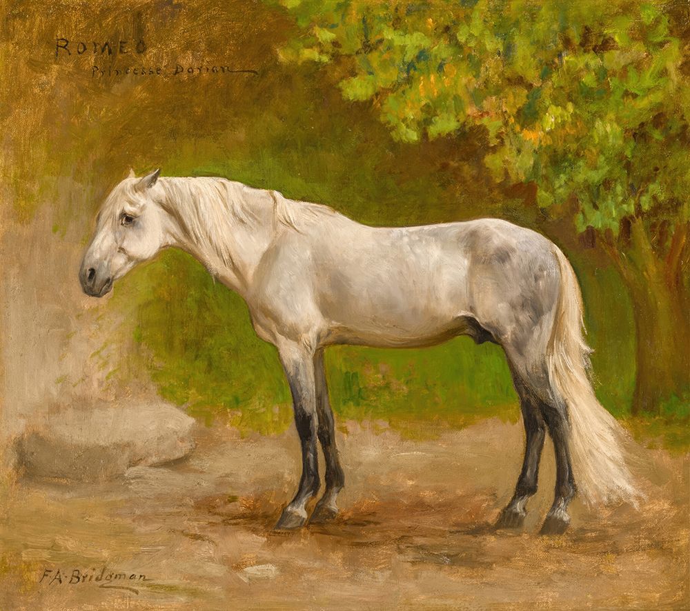 Romeo, a Stallion in a Landscape art print by Frederick Arthur Bridgman for $57.95 CAD