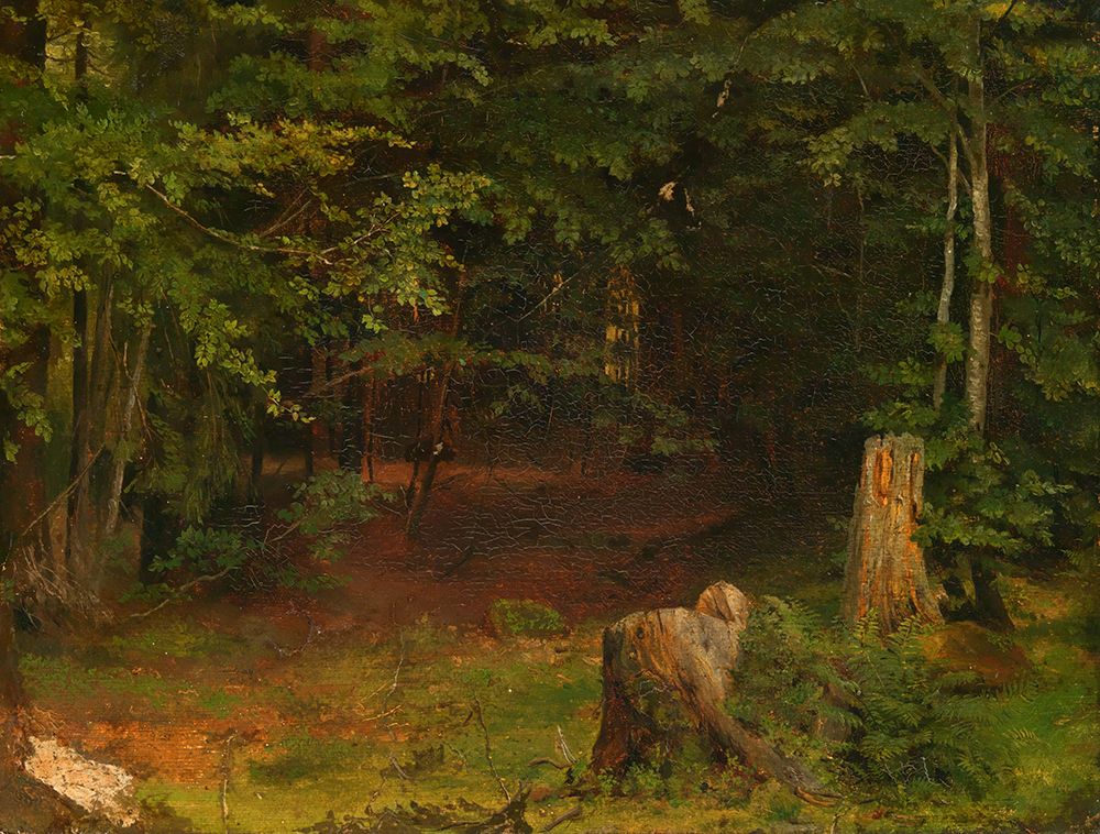 Forest interior art print by Hans Thoma for $57.95 CAD