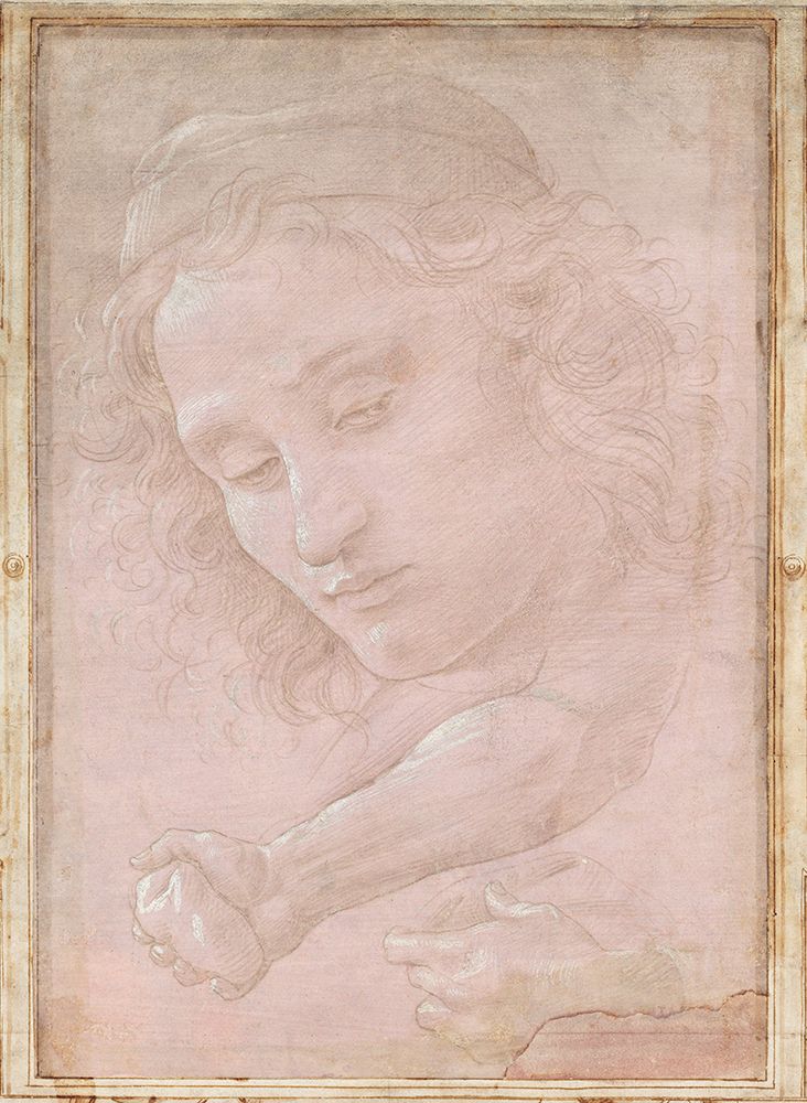Head of a Youth Wearing a Cap 1480 art print by Sandro Botticelli for $57.95 CAD