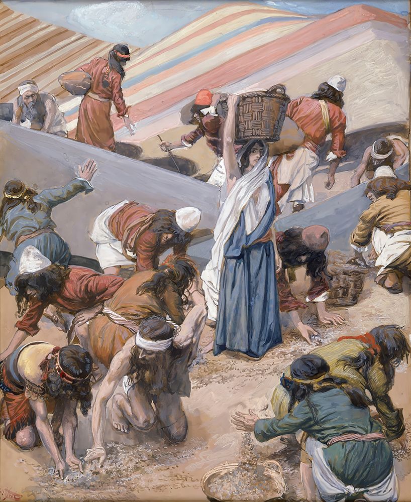The Gathering of the Manna art print by James Tissot for $57.95 CAD