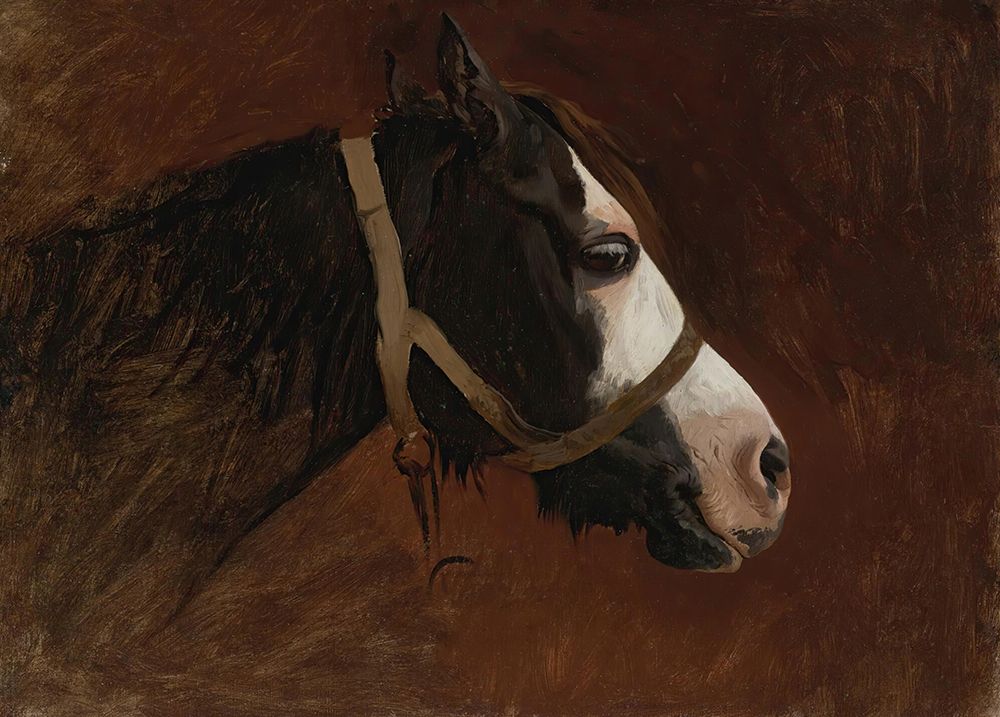 Profile of A Horse art print by Jean-Leon Gerome for $57.95 CAD