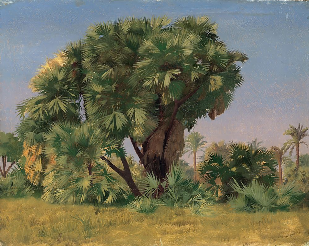 Study of Palm Trees 1868 art print by Jean-Leon Gerome for $57.95 CAD