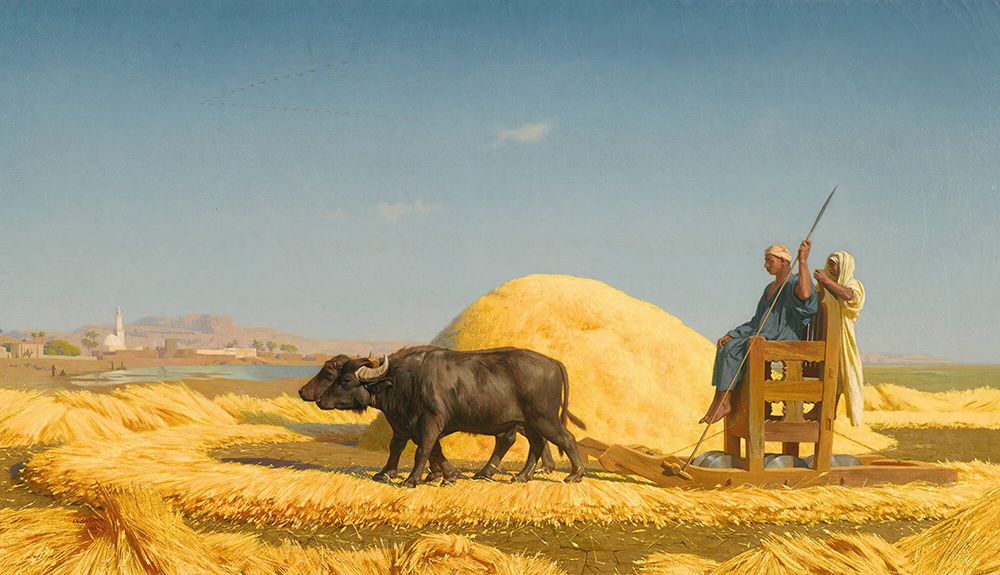 The Grain Threshers, Egypt 1859 art print by Jean-Leon Gerome for $57.95 CAD