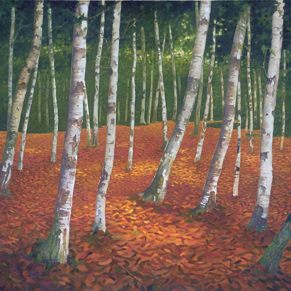 Sunshine and Shadow art print by Graham Reynolds for $57.95 CAD