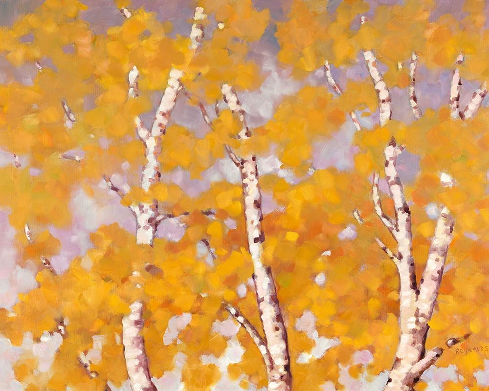 Soft Breeze art print by Graham Reynolds for $57.95 CAD