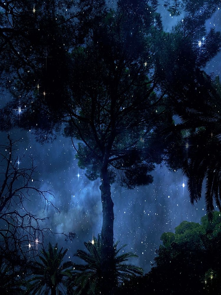 Midnight Sky art print by Irena Orlov for $57.95 CAD