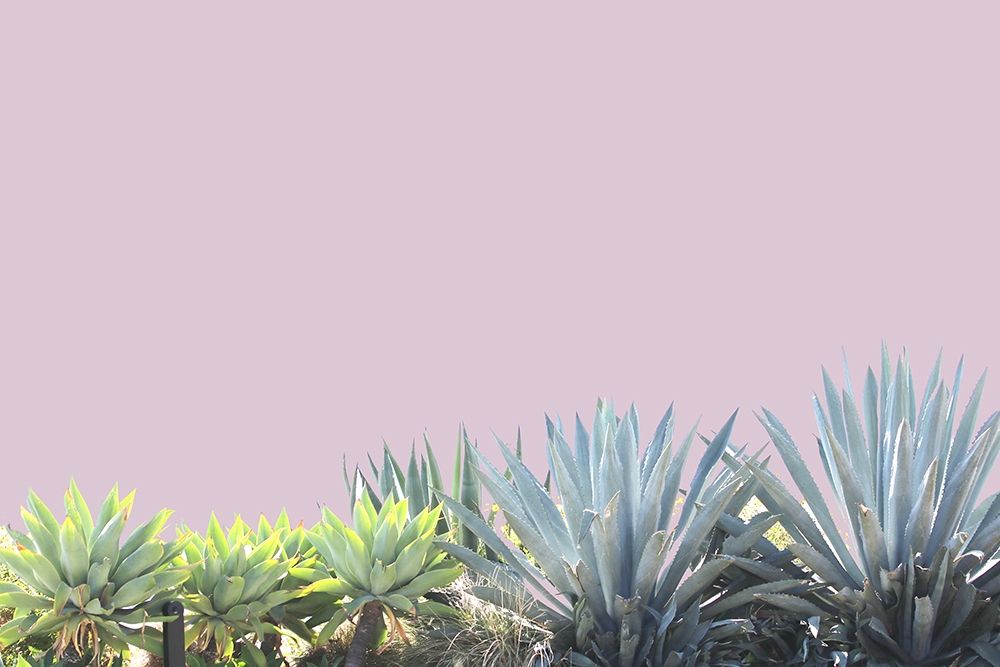 Blush I art print by Irena Orlov for $57.95 CAD