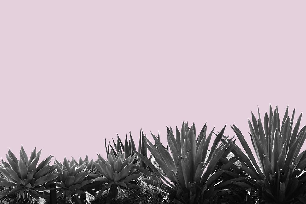 Blush II art print by Irena Orlov for $57.95 CAD