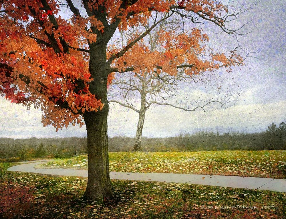 Overland Park Trees art print by Christopher Vest for $57.95 CAD